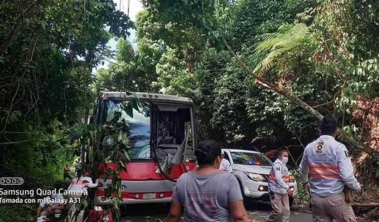 Fallece persona en la Pichucalco-Teapa, tras caer un árbol sobre autobús de pasajeros