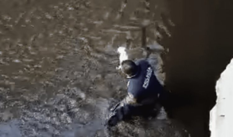 Policía de Querétaro se mete a dren de aguas negras para rescatar a perrito