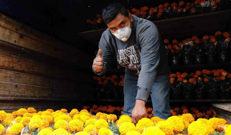 Garantiza Sader abasto de flores para celebración de Día de Muertos