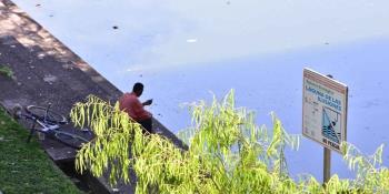 Diseña Bienestar Tabasco nuevo proyecto para rescatar la Laguna de las Ilusiones