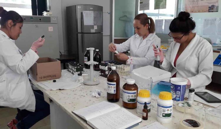 Investigadora de la UJAT realiza evaluación biológica de plantas medicinales para fortalecer el sistema inmune ante el COVID-19