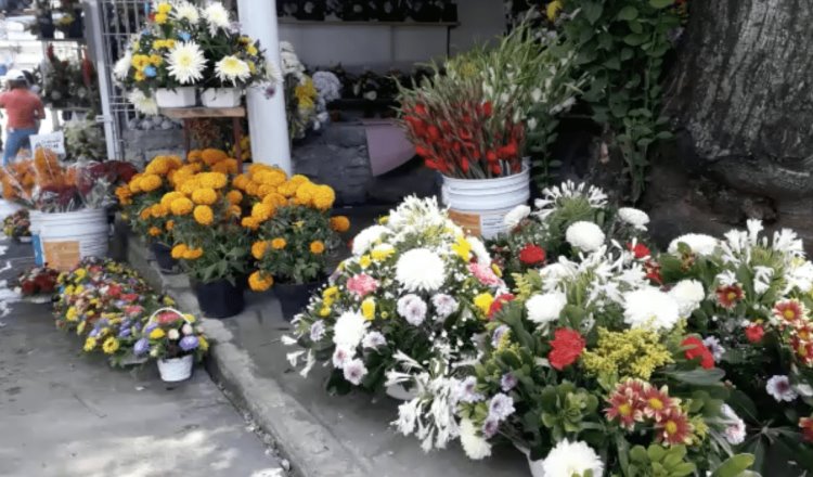 Esperan vende flores aumento en sus ventas de hasta 70%