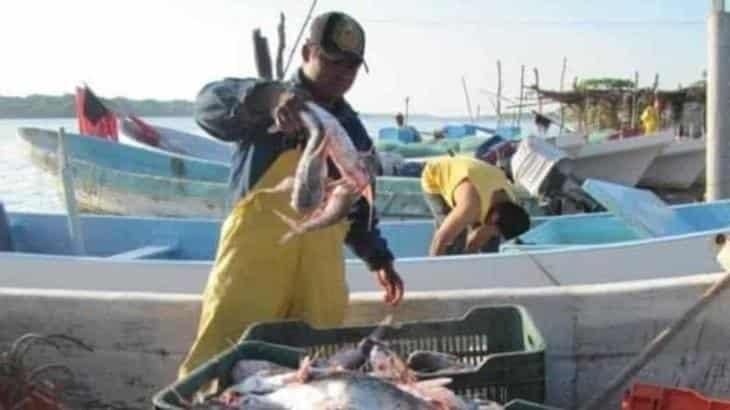 Estudio advierte sobre la afectación en la pesca por el calentamiento de los mares mexicanos 