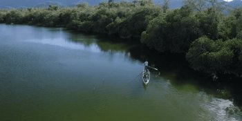 Pide diputada declarar Área Natural Protegida, manglares del Río San Pedro