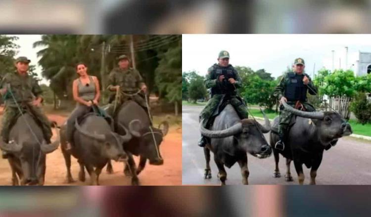 Policías de Brasil patrullan a bordo de búfalos de agua