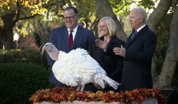 Otorga Biden indulto a dos pavos, previo al Día de Acción de Gracias