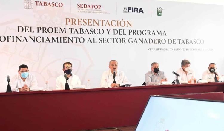 Anuncian 350 mdp en créditos para sector agroalimentario y ganadero de Tabasco