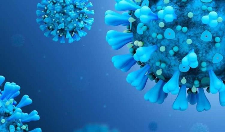 Bacteria OM-85 bloquea infección por SARS-CoV-2, revela estudio