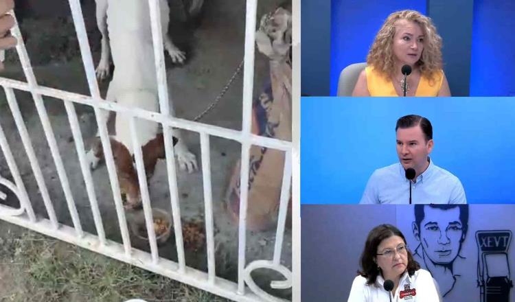 Exhibe Caninos 911 maltrato animal y falta de acción de Ayuntamientos