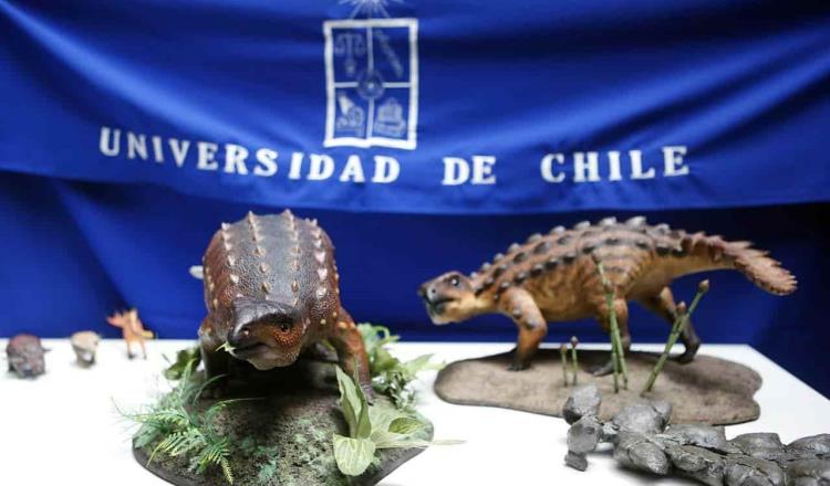 Descubren en Chile nueva especie de dinosaurio acorazado