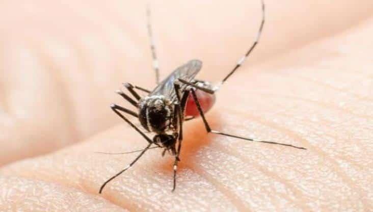 Reporta Sinave que en Tabasco se registró 1 caso diario de dengue durante la última semana 