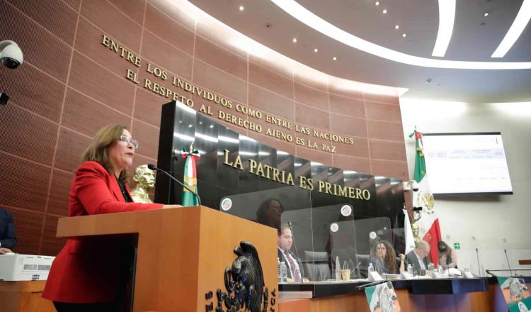 Defiende Nahle en el Senado Reforma Eléctrica de AMLO