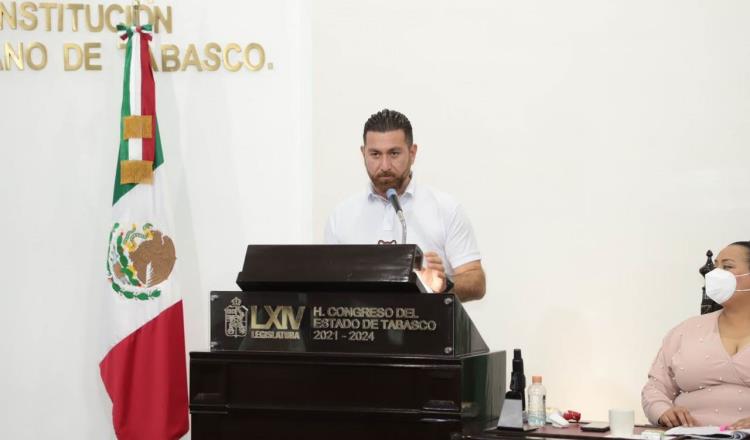 Propone partido Verde incluir en escuelas materias sobre empatía animal