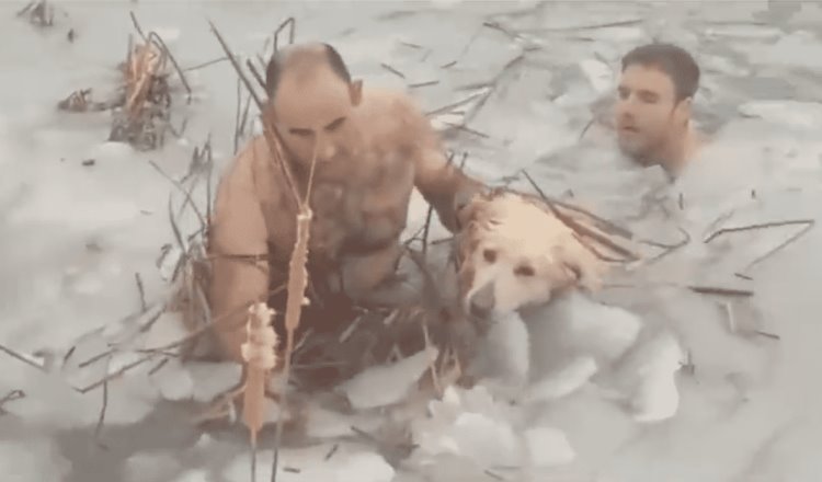 Policías en España ingresan a lago congelado para salvar a can atrapado