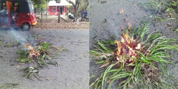 Cohete incendia copa de una Ceiba en Jalpa