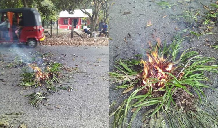 Cohete incendia copa de una Ceiba en Jalpa