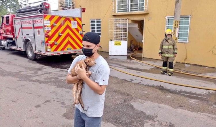 Rescatan a gato de incendio en vivienda de Gaviotas Norte