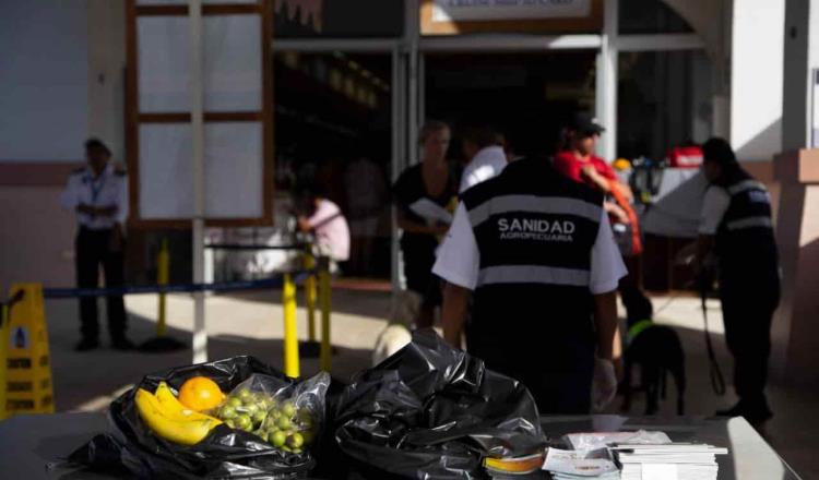 Detectan en El Ceibo productos con sospecha de estar infectados de peste porcina