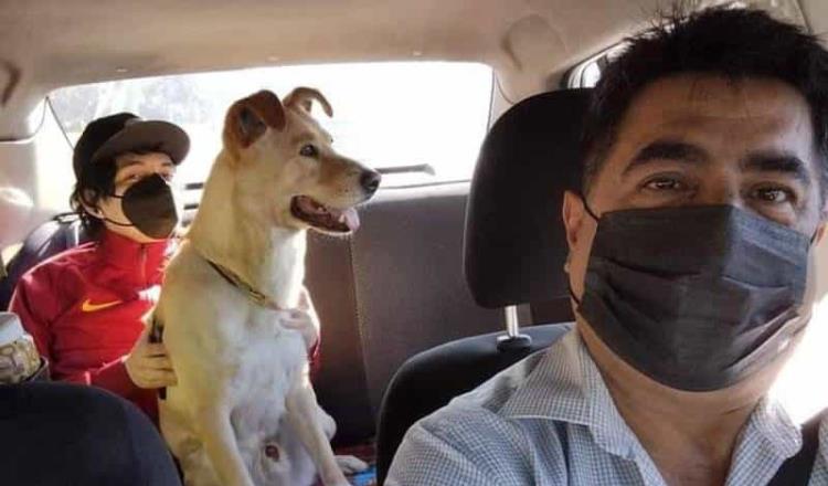 ¡Taxista en CDMX ofrece servicio pet friendly!; permite a usuarios viajar con sus perritos