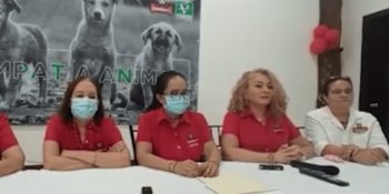 2 mil denuncias de maltrato animal en Tabasco cada mes: Caninos 911