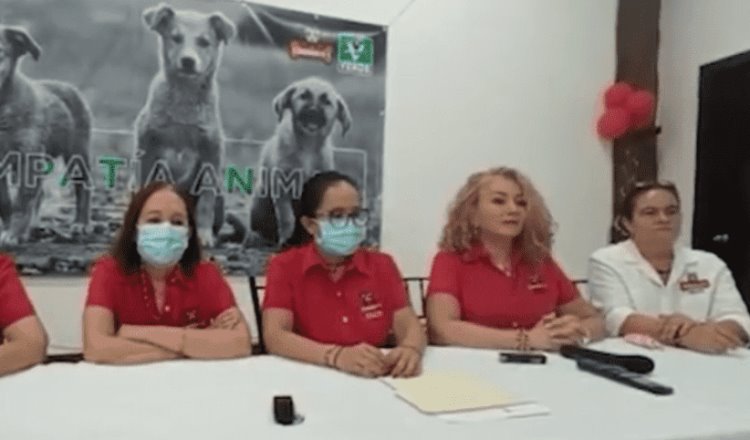 2 mil denuncias de maltrato animal en Tabasco cada mes: Caninos 911