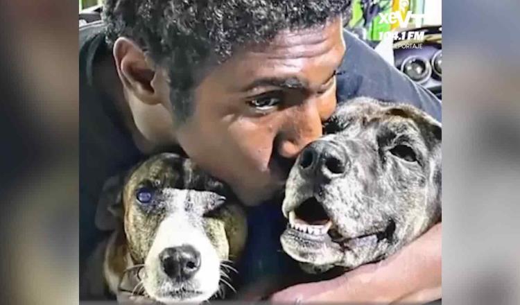 Dan refugio a hombre que celebró el cumpleaños de sus perros en Colombia