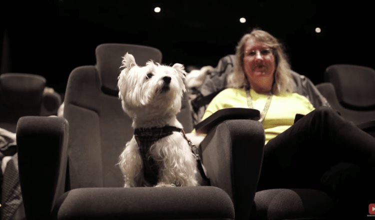 Abren en Manchester primer cine adaptado para perritos