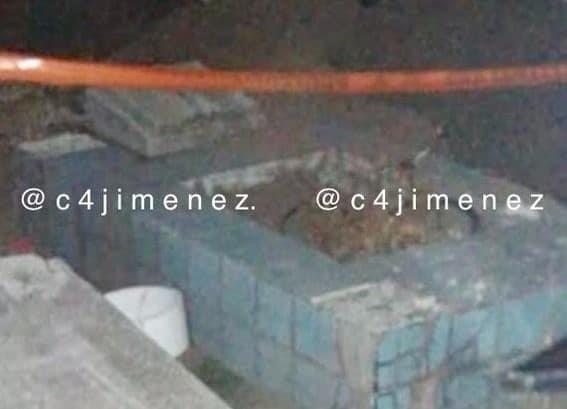 Investiga Fiscalía de CDMX posible exhumación de bebé localizado sin vida en penal de Puebla