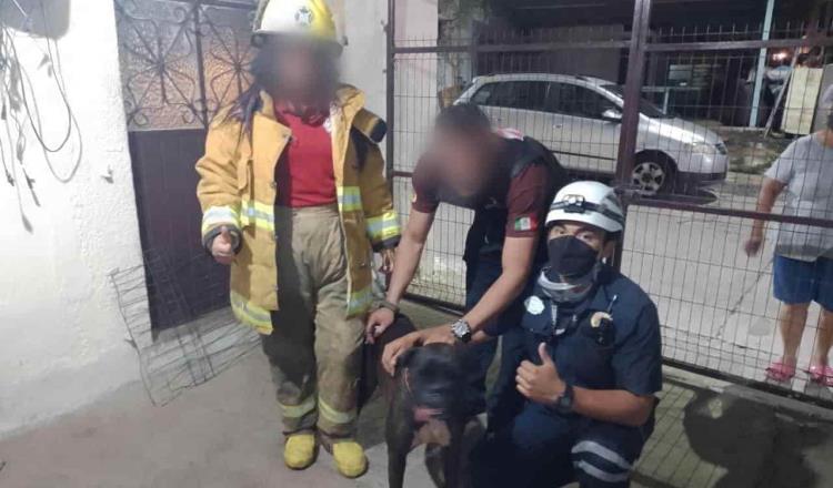 Bomberos tabasqueños rescatan a perro tras caer a un pozo