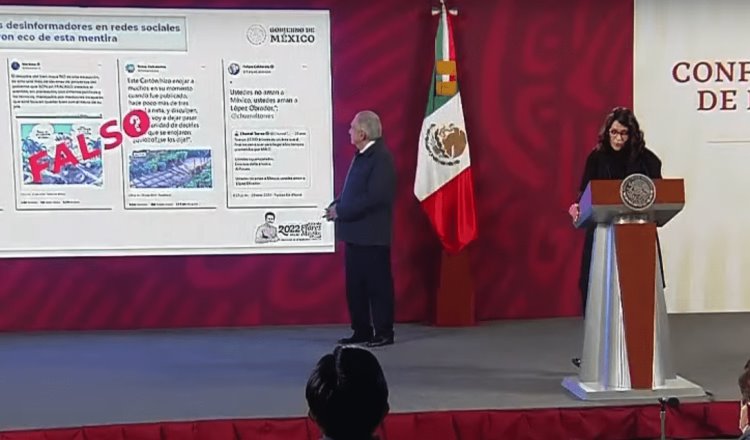 Niega Gobierno de México tala de 20 mil árboles en construcción del Tren Maya