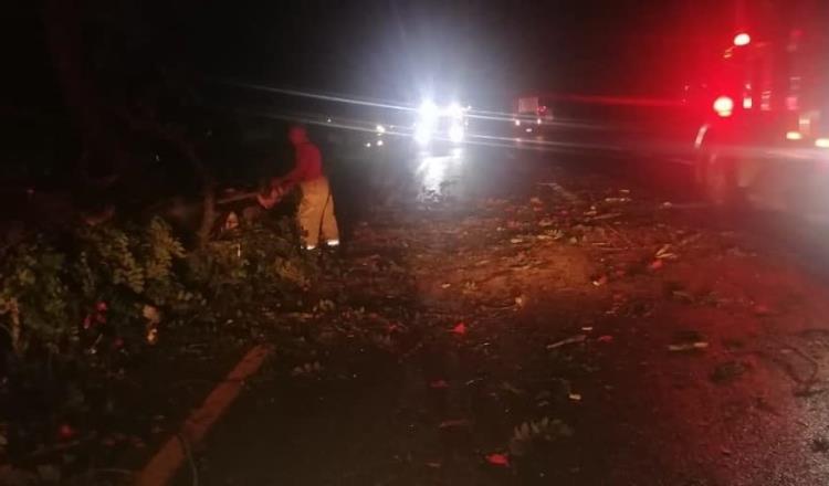 Caídas de árboles y colonias sin energía dejan lluvias de últimas horas en 3 municipios de Tabasco 