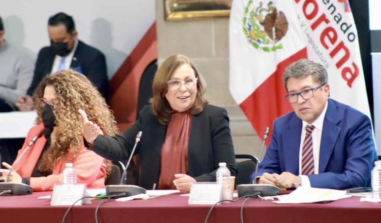 Asegura Rocío Nahle con la Reforma Eléctrica “no se va a expropiar ni un tornillo”