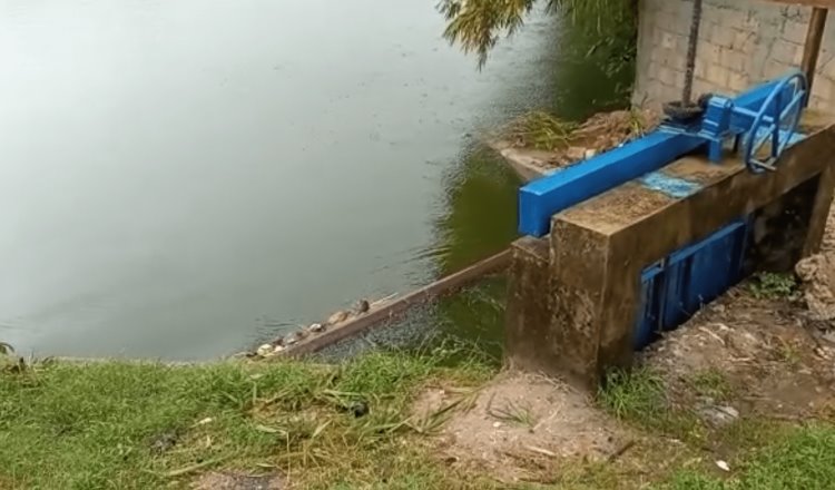 Tras lluvias se registra aumento en nivel de la laguna de las Ilusiones