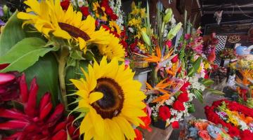 Hasta 60 por ciento más vendieron floristas por día de San Valentín