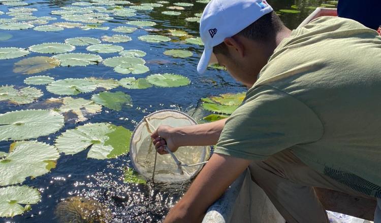 Buscan alumnos y maestros de la UJAT proteger biodiversidad del río San Pedro