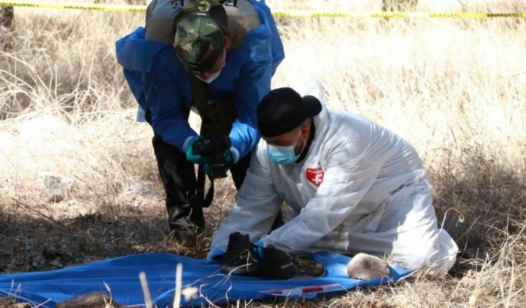 Localizan restos humanos en fosa clandestina de Nogales, Sonora