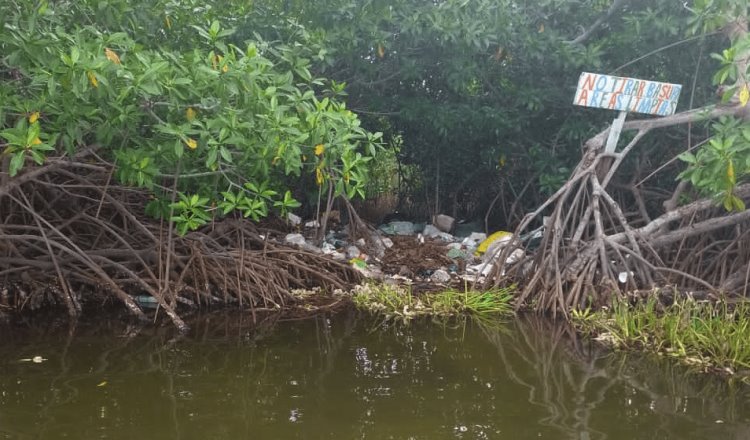 Habilitan basureros en manglares de Paraíso, denuncian cooperativistas