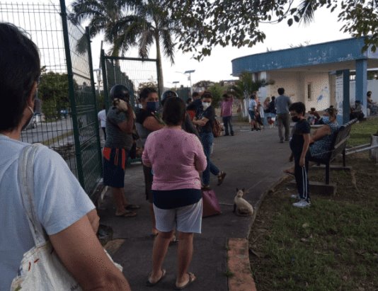 Suspenden esterilización de mascotas en la Miguel Hidalgo por desorden y pocas fichas