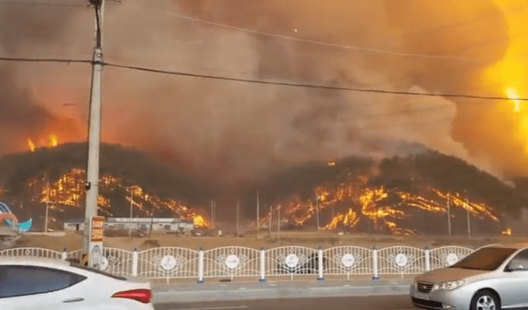 Evacuan a familias por incendio forestal cercano a planta nuclear de Corea