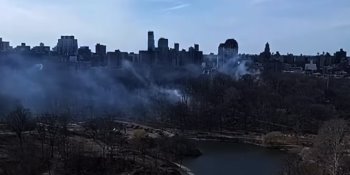 Registra Central Park más de 10 incendios