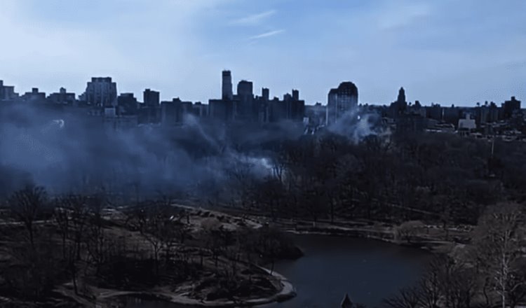 Central Park registra más de 10 incendios; se presume que fueron provocados