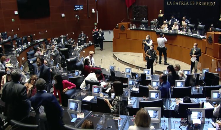 Aprueba Senado que patrones permitan a sus empleados participar en Revocación de Mandato