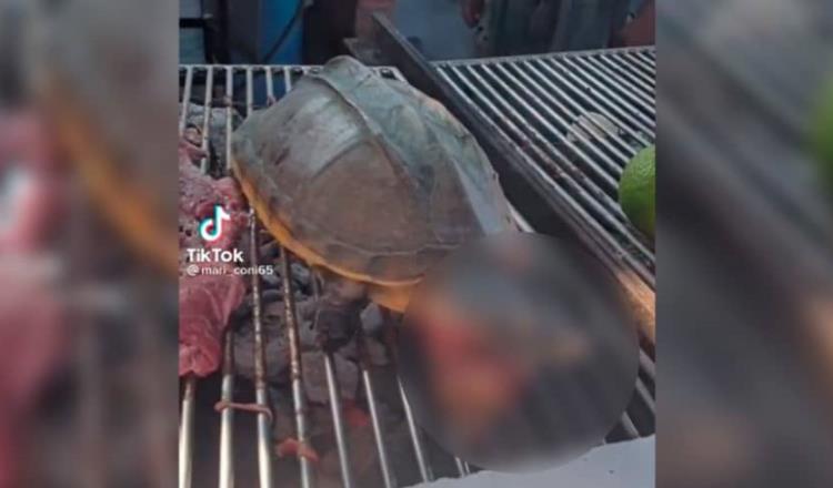Condenan en redes video en donde cocinan a guao vivo, presuntamente en Tabasco