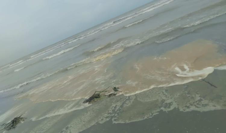 Reportan presencia de aceite en costas de Centla