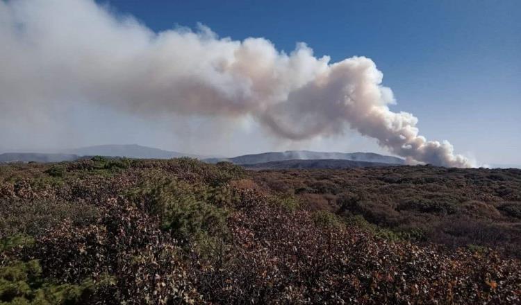 Activan alerta atmosférica para 3 municipios en Jalisco, por incendio forestal