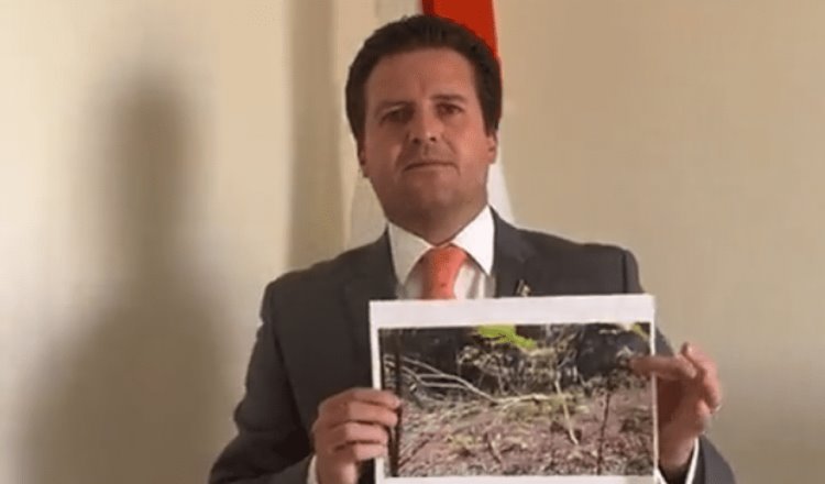 Exhorta Gaudiano a investigar deforestación en Laguna de Las Ilusiones