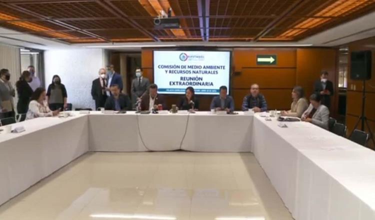 Comisión de Medio Ambiente de San Lázaro avala Reforma Eléctrica de AMLO