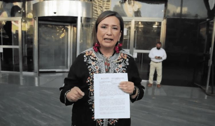 Presenta Xóchitl Gálvez denuncia penal contra Javier May por tala ilegal de árboles en obra del Tren Maya
