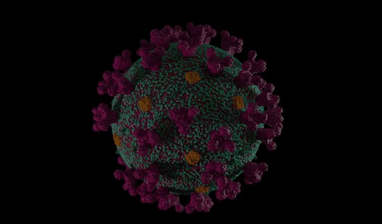 Detectan nueva variante de COVID-19; sería más transmisible que ómicron: OMS