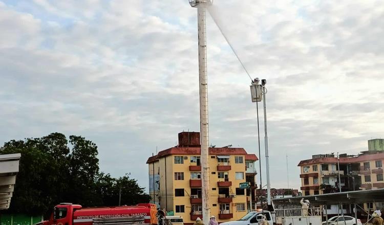 Pican abejas a 30 personas en Tamulté; 3 requirieron hospitalización